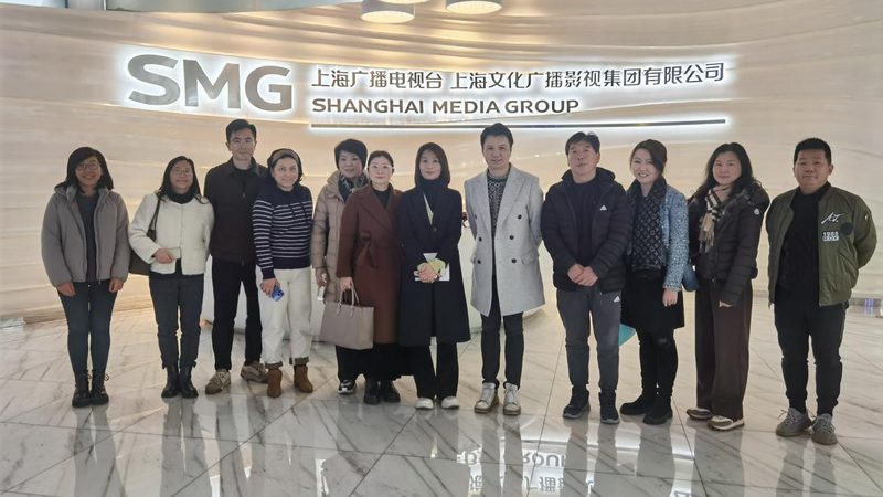 VI设计费用包含哪些要素？揭秘企业品牌形象塑造成本**