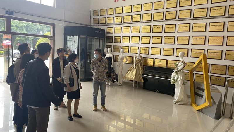 短视频素材网站会员价格解析：如何选择合适方案